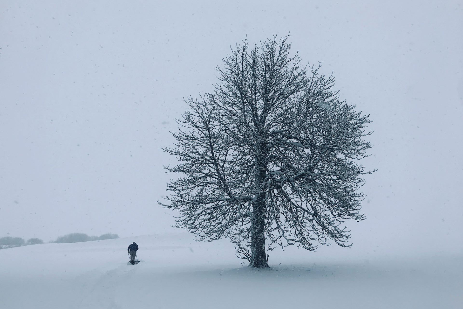 雪のシャケイ　冬のリトアニアの風景