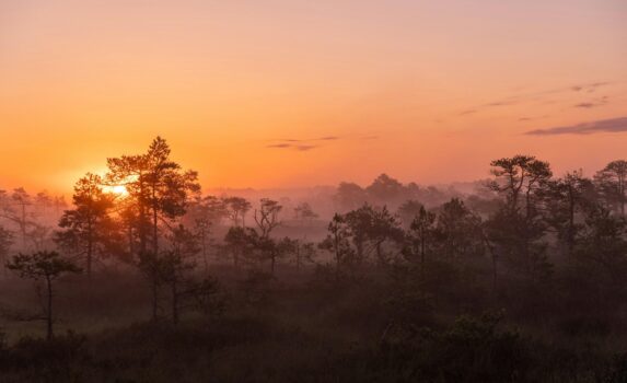 イェルヴァの絶景　エストニアの風景