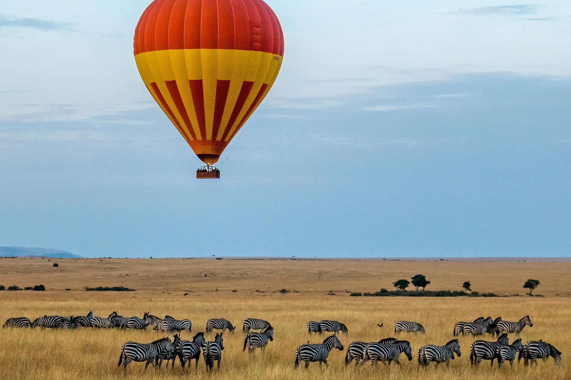 マサイマラ国立保護区　ケニアの風景