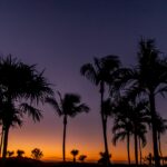 サニベル島の夕暮れ　フロリダ州　アメリカ合衆国の風景