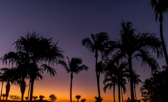 サニベル島の夕暮れ　フロリダ州　アメリカ合衆国の風景