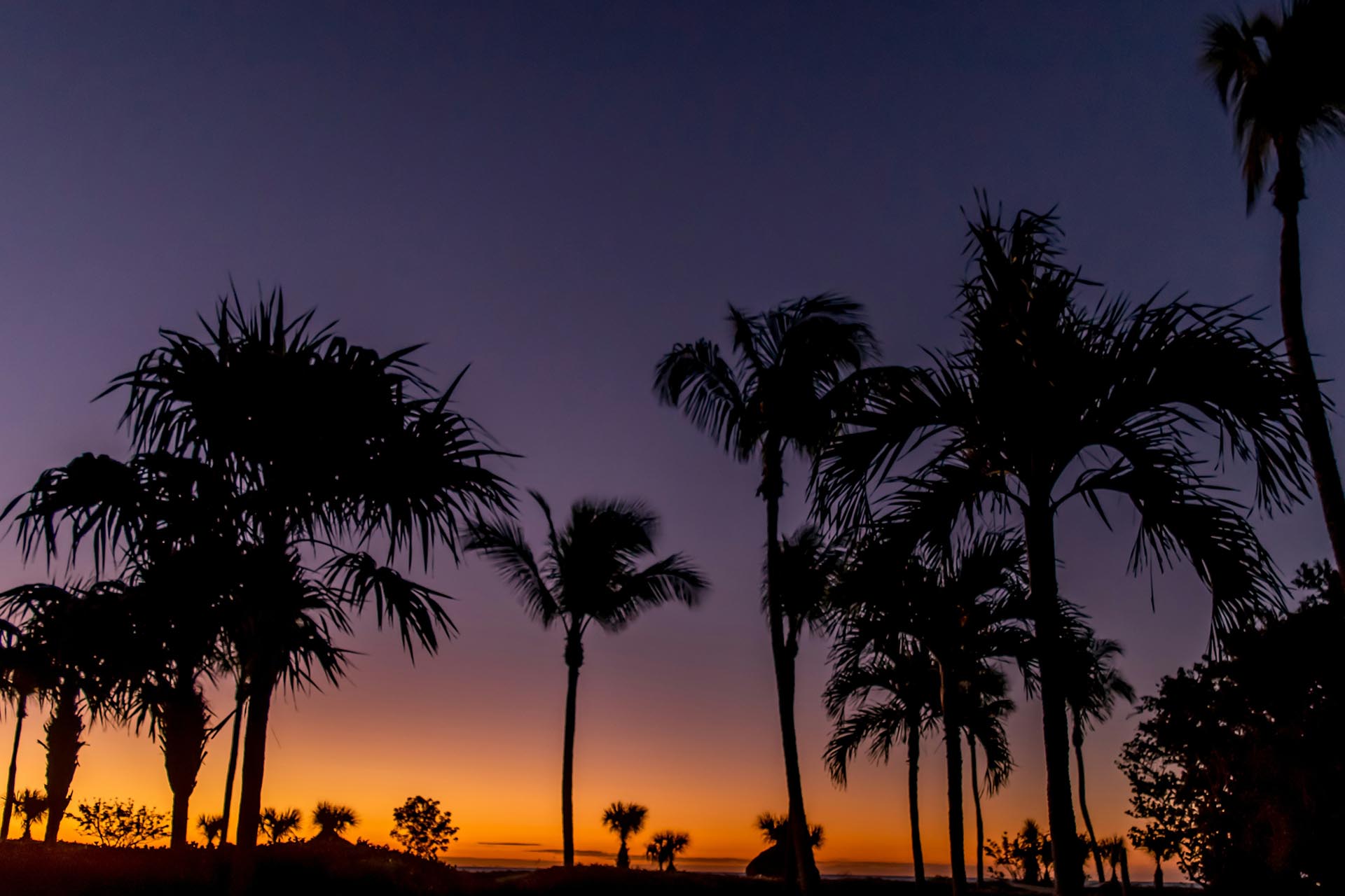 サニベル島の夕暮れ　フロリダ州　アメリカ合衆国の風景