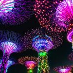 夜のガーデンズ・バイ・ザ・ベイ　スーパーツリーグローブ　シンガポールの風景