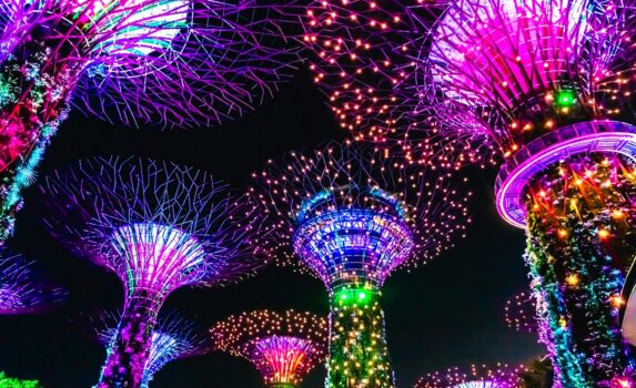 夜のガーデンズ・バイ・ザ・ベイ　スーパーツリーグローブ　シンガポールの風景