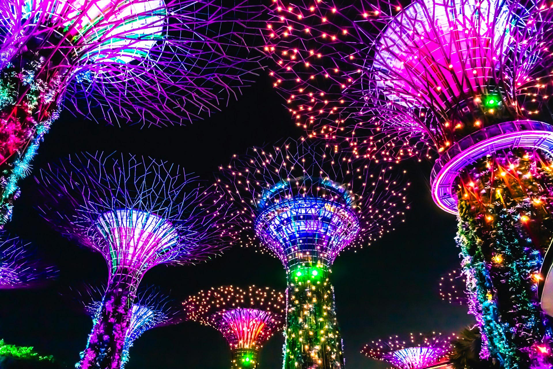 夜のガーデンズ・バイ・ザ・ベイ　スーパーツリーグローブ　シンガポールの風景