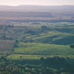 ロチャの風景　ウルグアイの風景