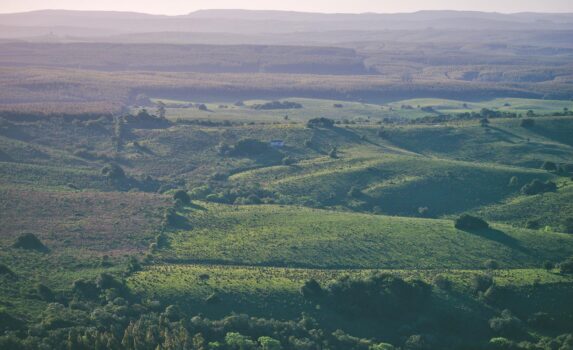 ロチャの風景　ウルグアイの風景