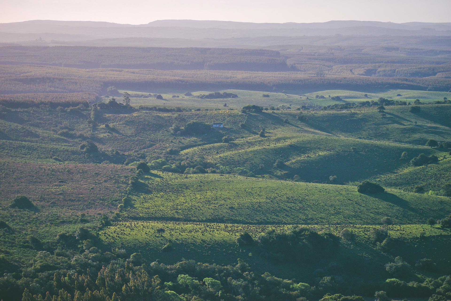 ロチャの風景　ウルグアイの風景