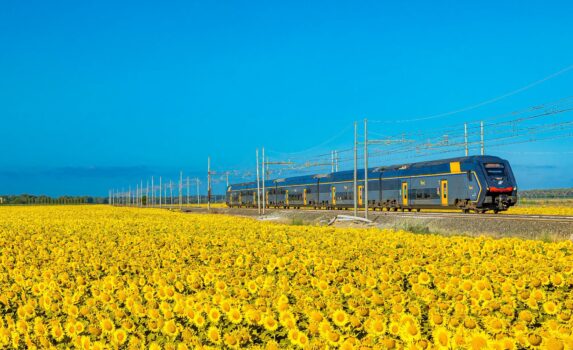 鉄道とひまわりの花の風景　夏のイタリアの風景