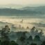 日の光を受けて幻想的に輝く雲海と熱帯雨林　バンソア　カメルーンの風景