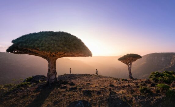 ソコトラの風景　イエメンの風景