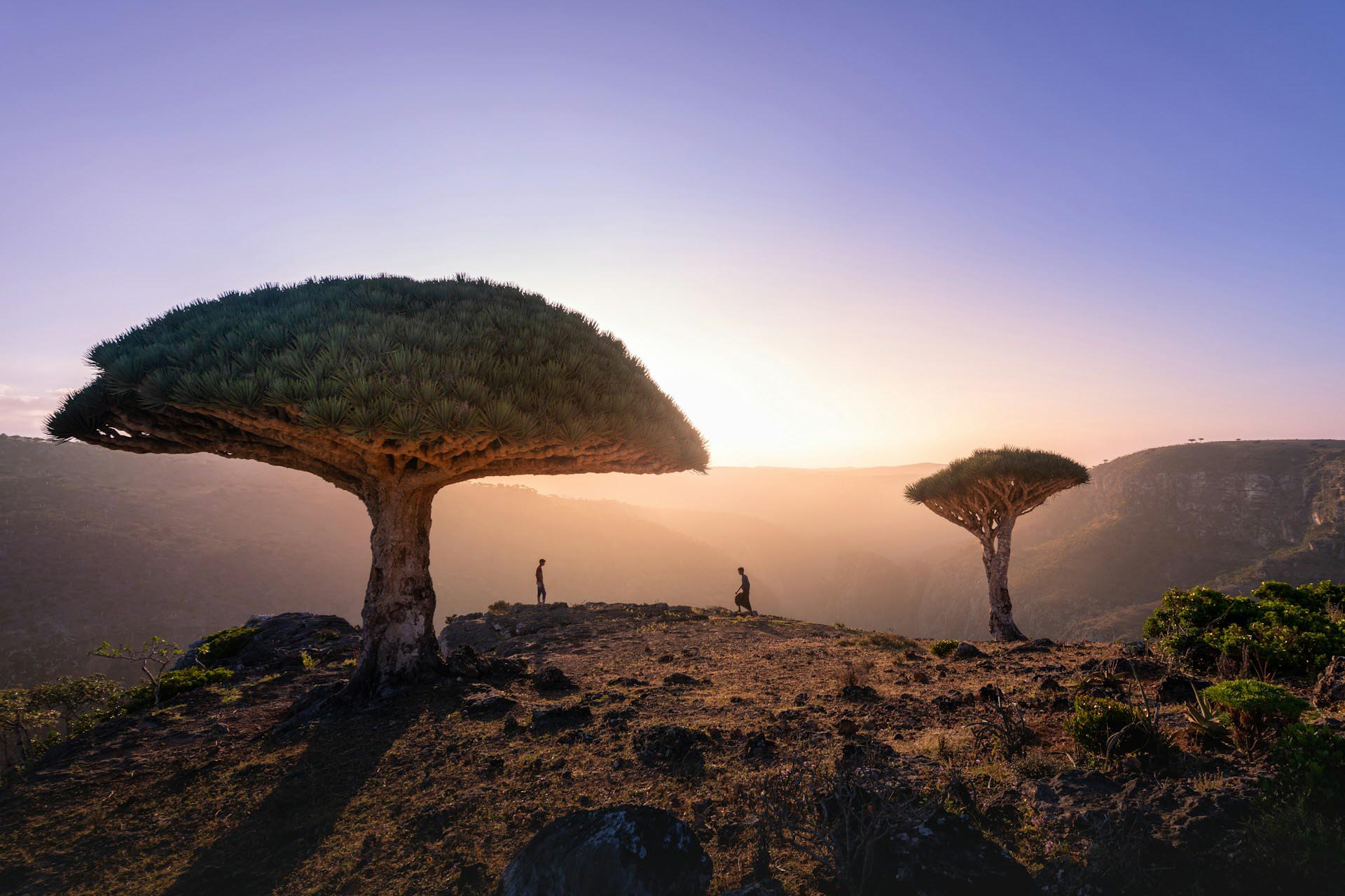 ソコトラの風景　イエメンの風景