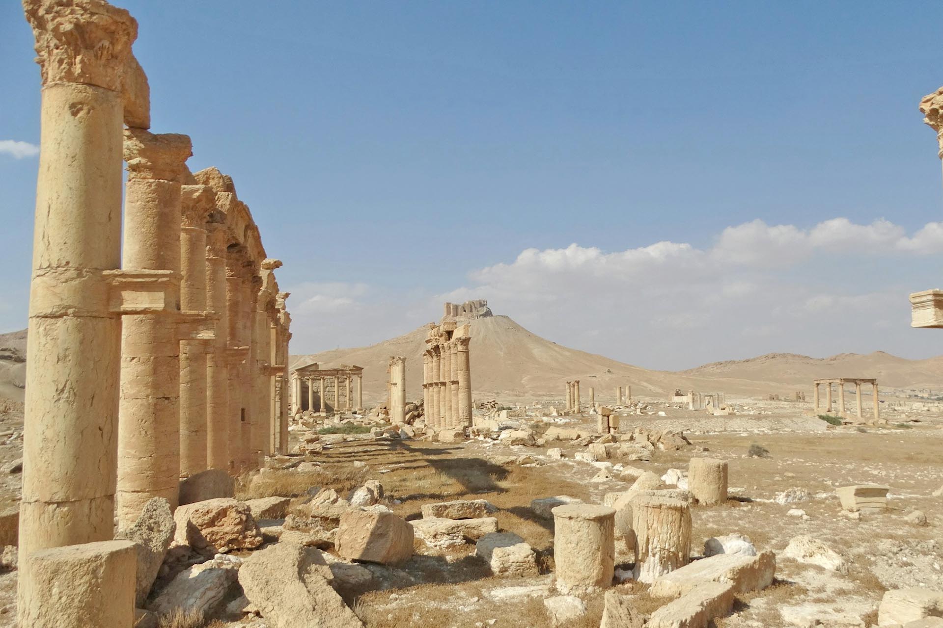 パルミラの風景　シリアの風景