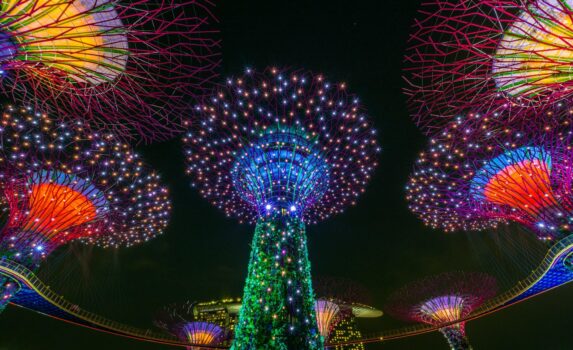 夜のガーデンズ・バイ・ザ・ベイ　スーパーツリーグローブ　シンガポールの夜景